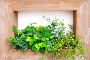 壁掛けグリーン