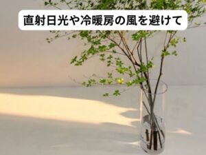 ドウダンツツジを長持ちさせるコツ