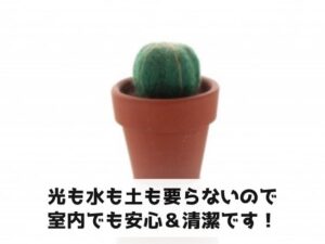 フェイクサボテンのメリット