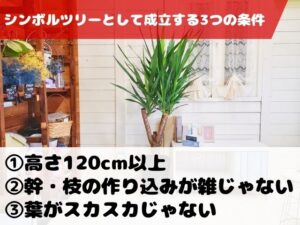 シンボルツリーの条件３つ