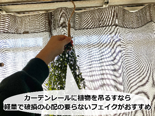 カーテンレールに人工植物を吊るす