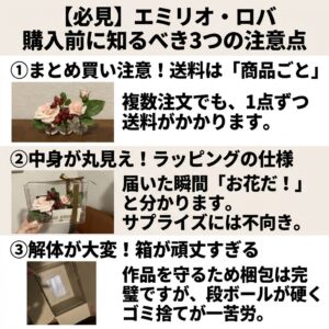 エミリオロバを実際に購入して感じたデメリット