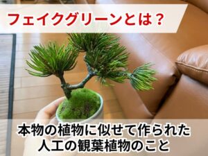 盆栽のフェイクグリーン