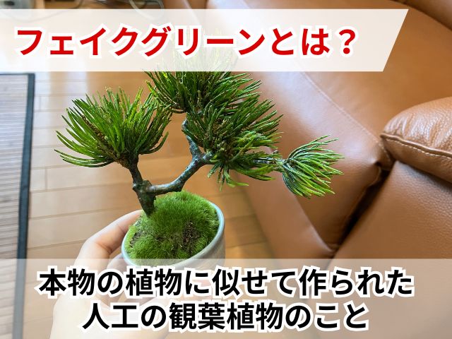 盆栽のフェイクグリーン