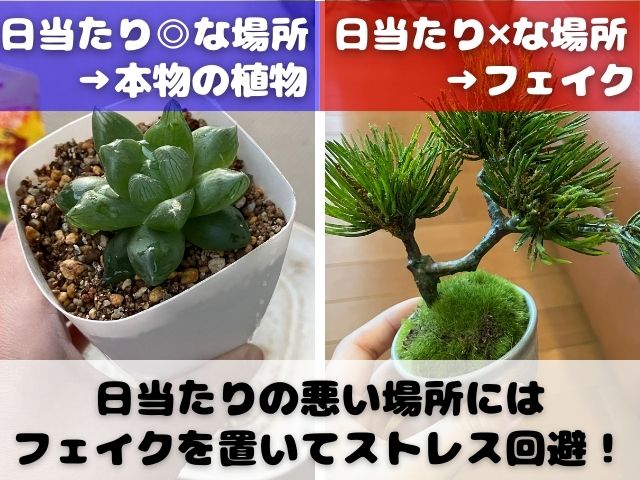 本物とフェイクグリーンの使い分け方