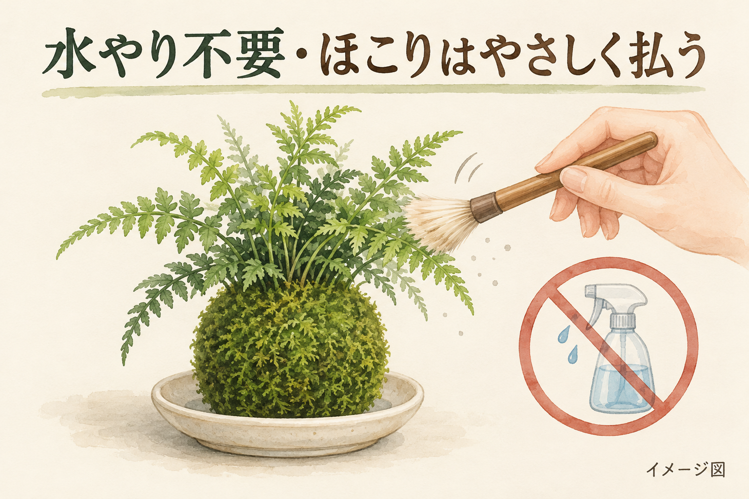 フェイク苔玉のお手入れとよくある疑問の説明イラスト